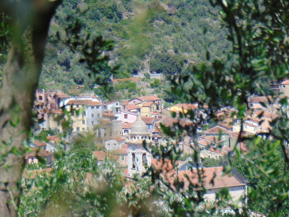 Apartmán Divino Villa Viani Exteriér fotografie